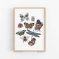 Bugs & Butterflies Art Print