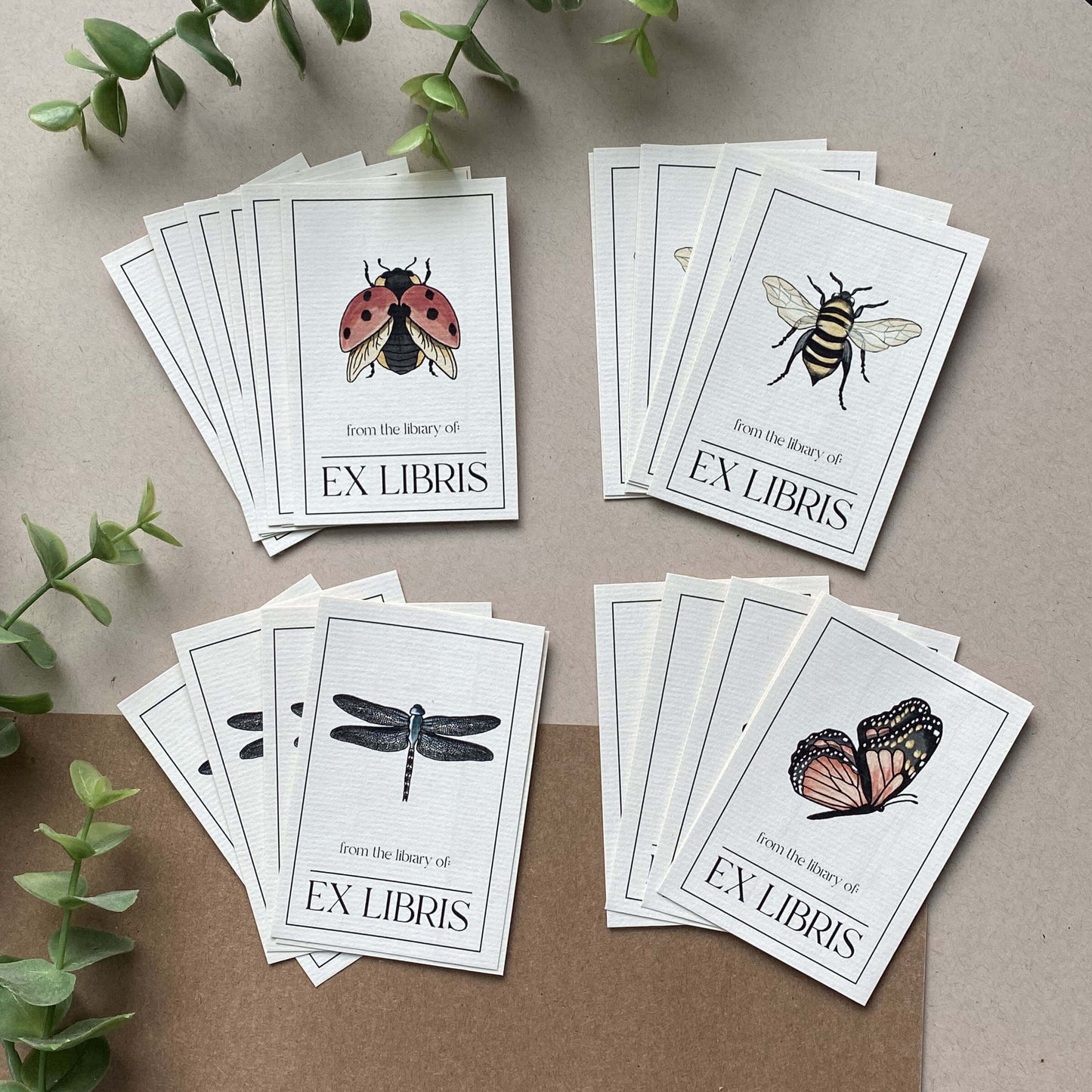 Bugs & Butterflies Book Plates