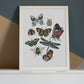 Bugs & Butterflies Art Print