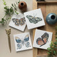 Butterfly Coasters Set of 4