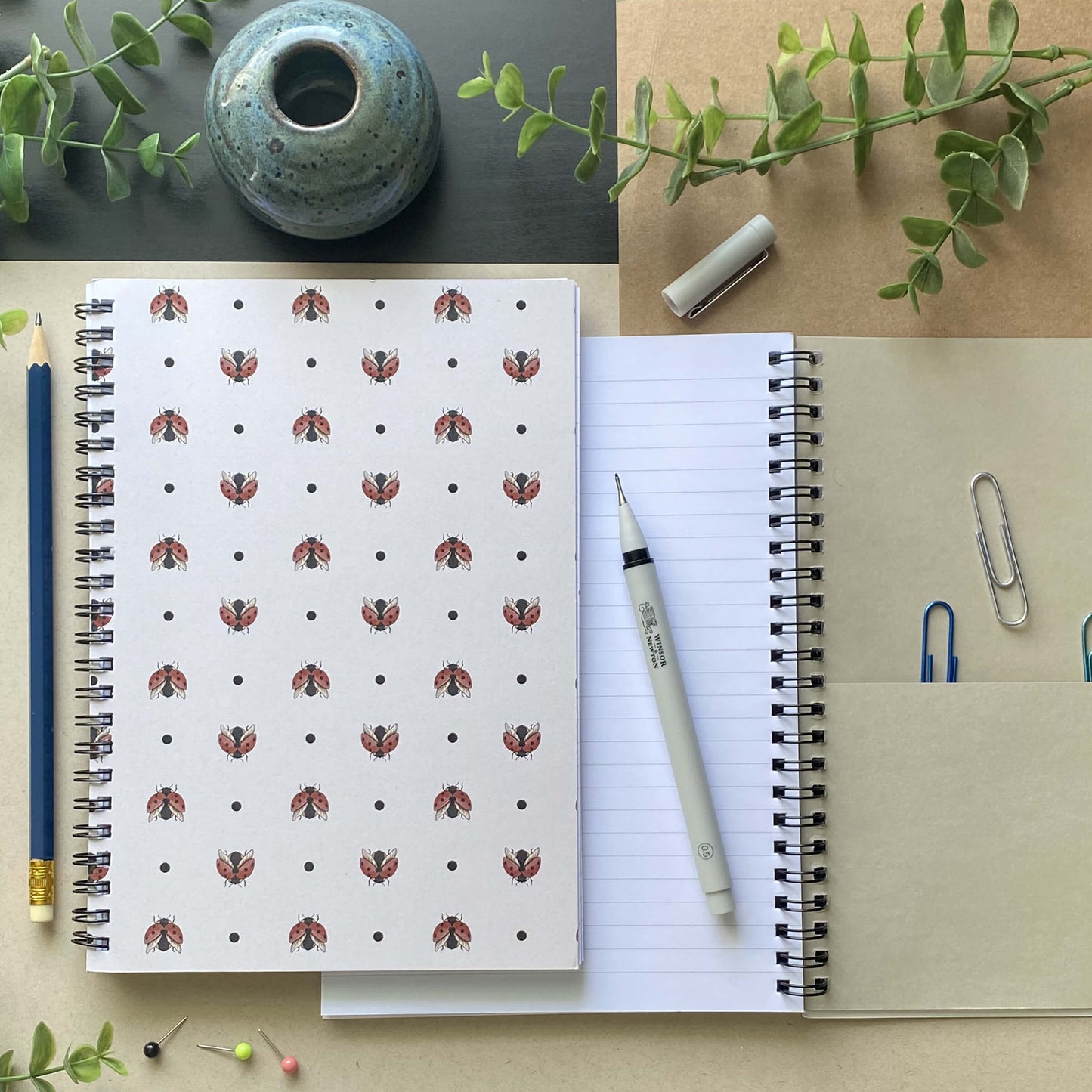 Ladybug Spiral Lined Notebook