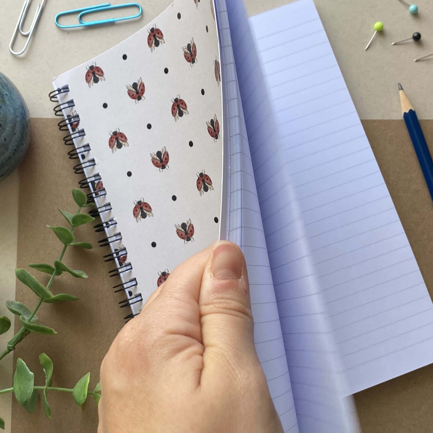 Ladybug Spiral Lined Notebook