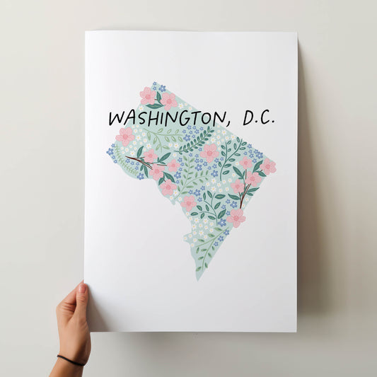 Washington DC Art Print